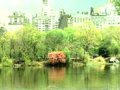 開(kāi)放的城市公共活動(dòng)空間??美國城市中央公園