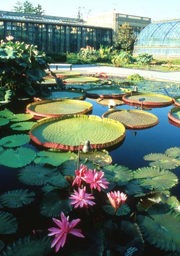 長(cháng)木花園