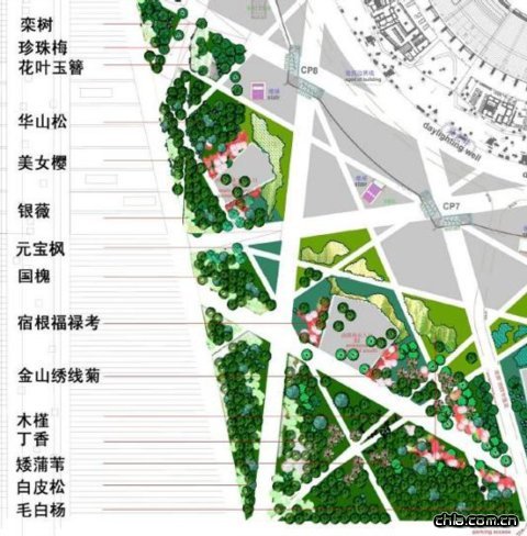 鳥(niǎo)巢景觀(guān)設計-西南觀(guān)眾入口