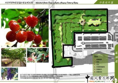 北林畢業(yè)作品之北京市朝陽(yáng)區金盞鄉農業(yè)觀(guān)光園設計