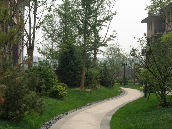 2008(hu