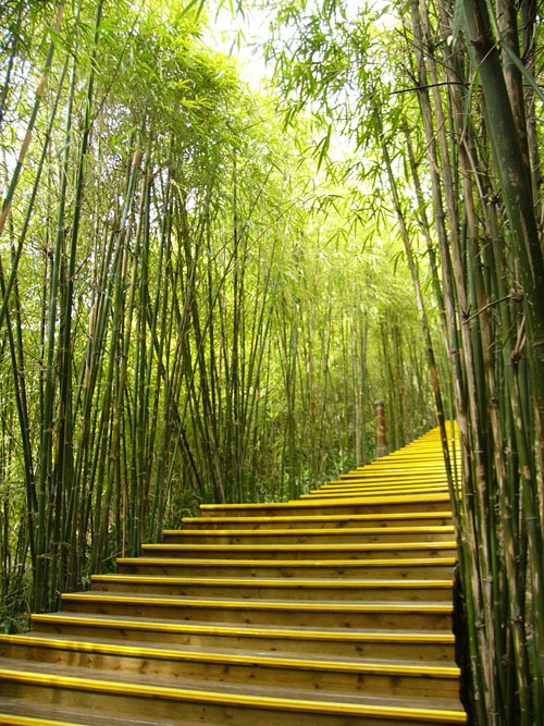 中國風(fēng)景園林網(wǎng) 風(fēng)景園林師 顧志凌