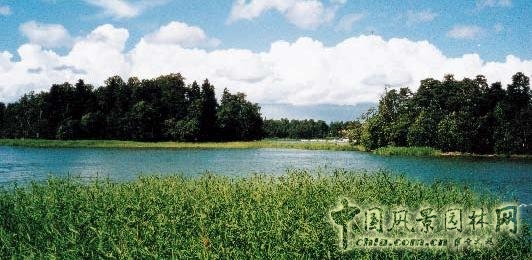 連載 劉秀晨 綠色的云 城鄉一體 綠地系統 中國風(fēng)景園林網(wǎng)