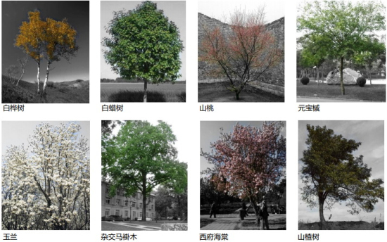 園博會(huì )作品朱育帆流水印