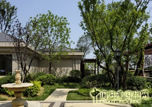 天開(kāi)園林 魯能領(lǐng)秀城 景觀(guān)工程