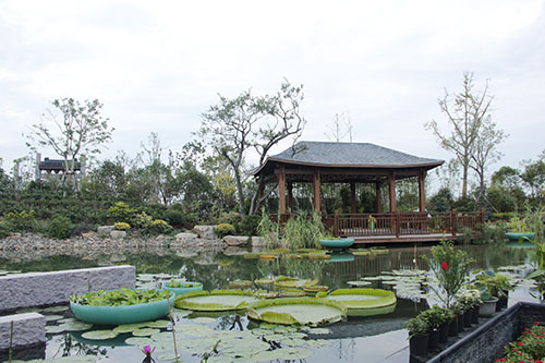 花博會(huì ) 杭州園林 園林綠化 國際展園