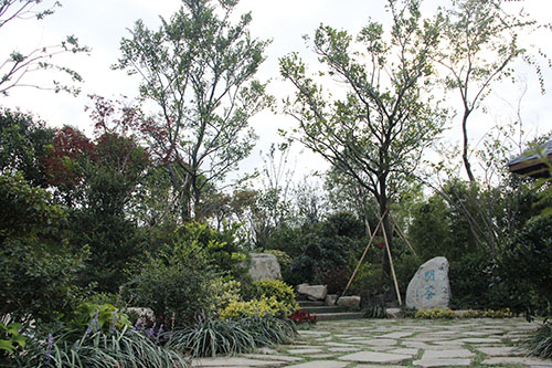 花博會(huì ) 杭州園林 園林綠化 國際展園