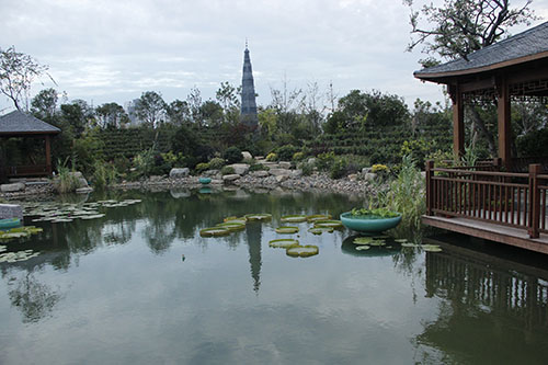 花博會(huì ) 杭州園林 園林綠化 國際展園