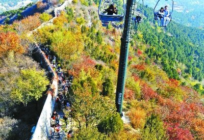 香山紅葉 紅葉不紅 最佳觀(guān)賞期 香山公園