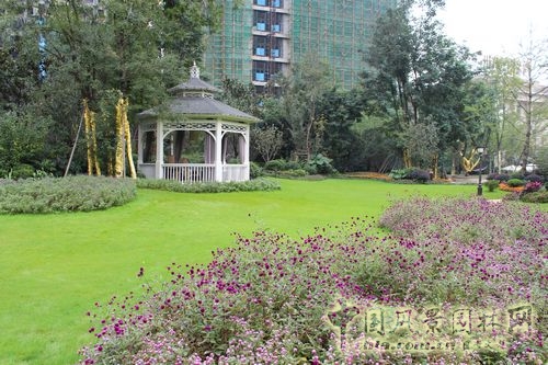 住宅景觀(guān)獎 園林景觀(guān) 成都世貿 成都世貿猛追灣項目