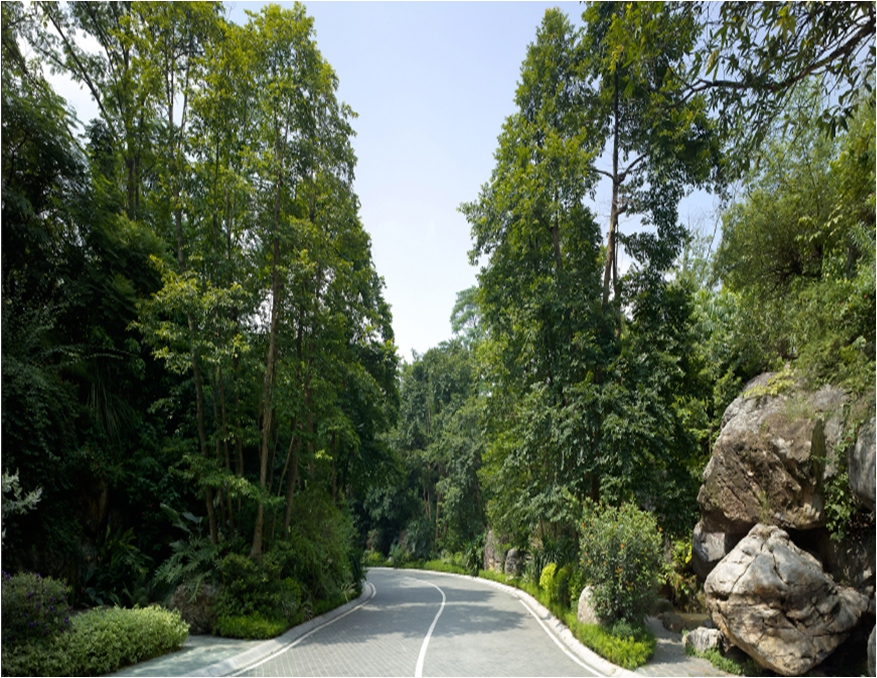 新山水 體驗式景觀(guān) 山水城市 山水文化 古典園林