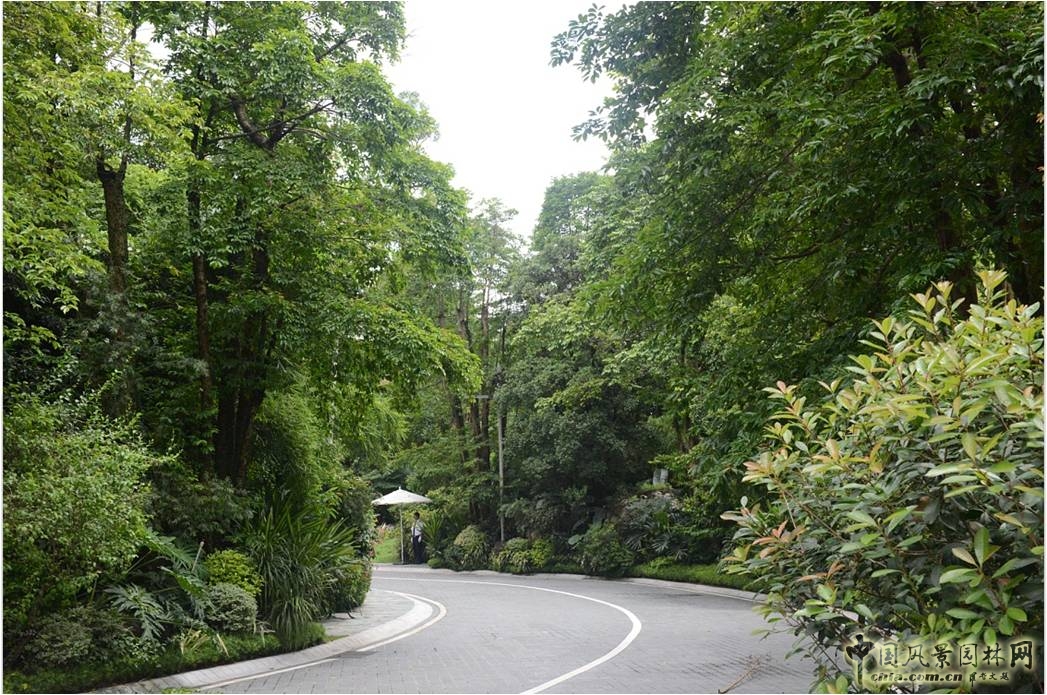 新山水 體驗式景觀(guān) 山水城市 山水文化 古典園林
