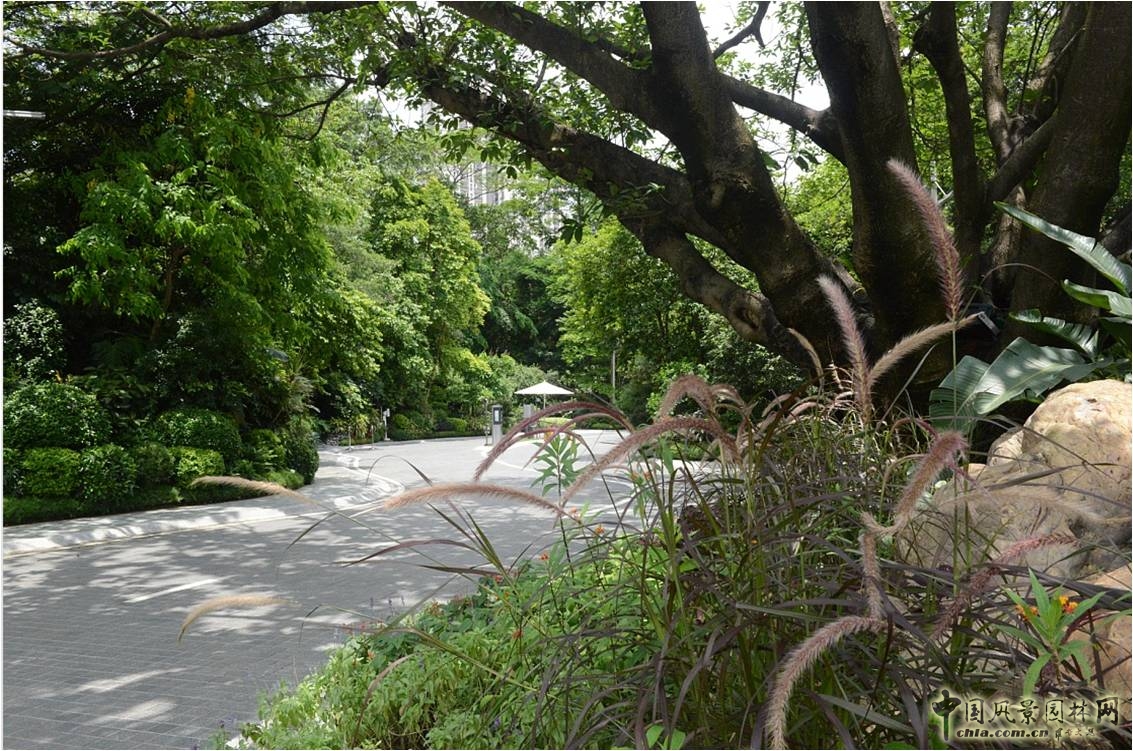 新山水 體驗式景觀(guān) 山水城市 山水文化 古典園林
