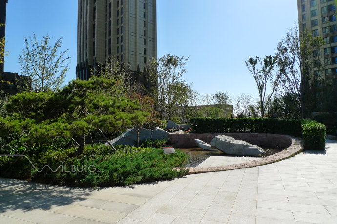 枡野俊明 禪意園林 景觀(guān)設計 海信天璽 造園設計