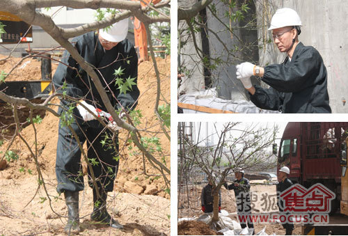 枡野俊明 禪意園林 景觀(guān)設計 海信天璽 造園設計