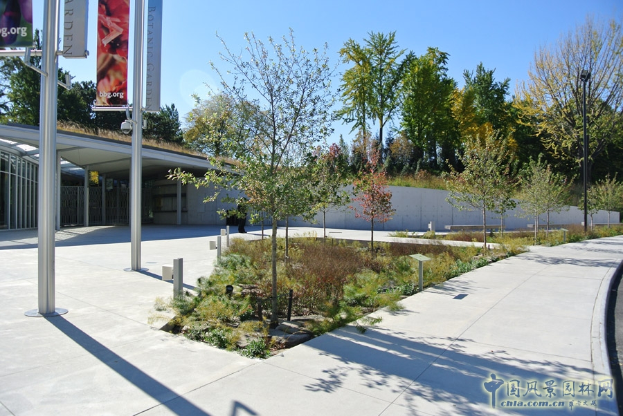入口廣場(chǎng)花園