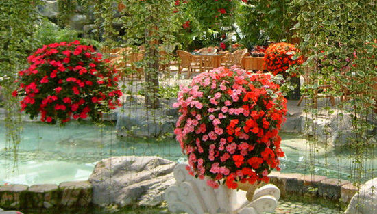 北京世界花卉大觀(guān)園