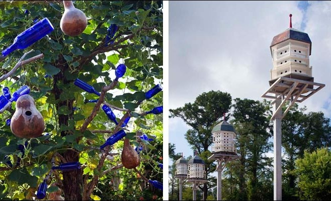 香格里拉植物園 景觀(guān)設計 植物園 可持續設計