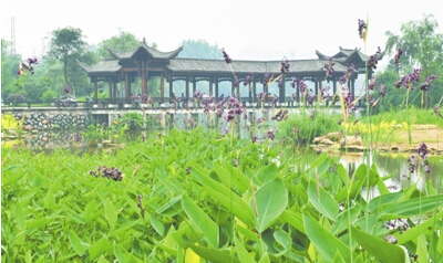 天鵝湖公園