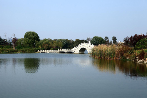 云龍湖 珠山景區 綠化工程 杭州園林