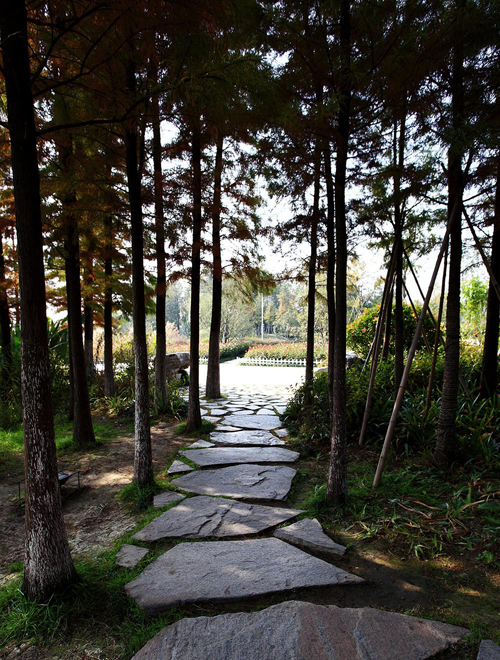 云龍湖 珠山景區 綠化工程 杭州園林