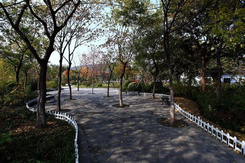 云龍湖 珠山景區 綠化工程 杭州園林