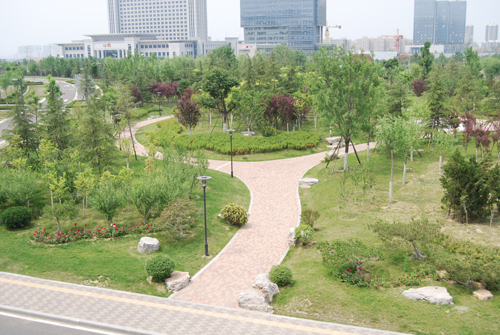 濟南奧體中心 景觀(guān)設計 施工圖設計