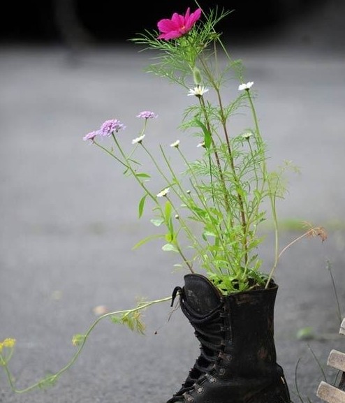 別樣花器別樣情趣 盆栽綠植煥發(fā)出新生機