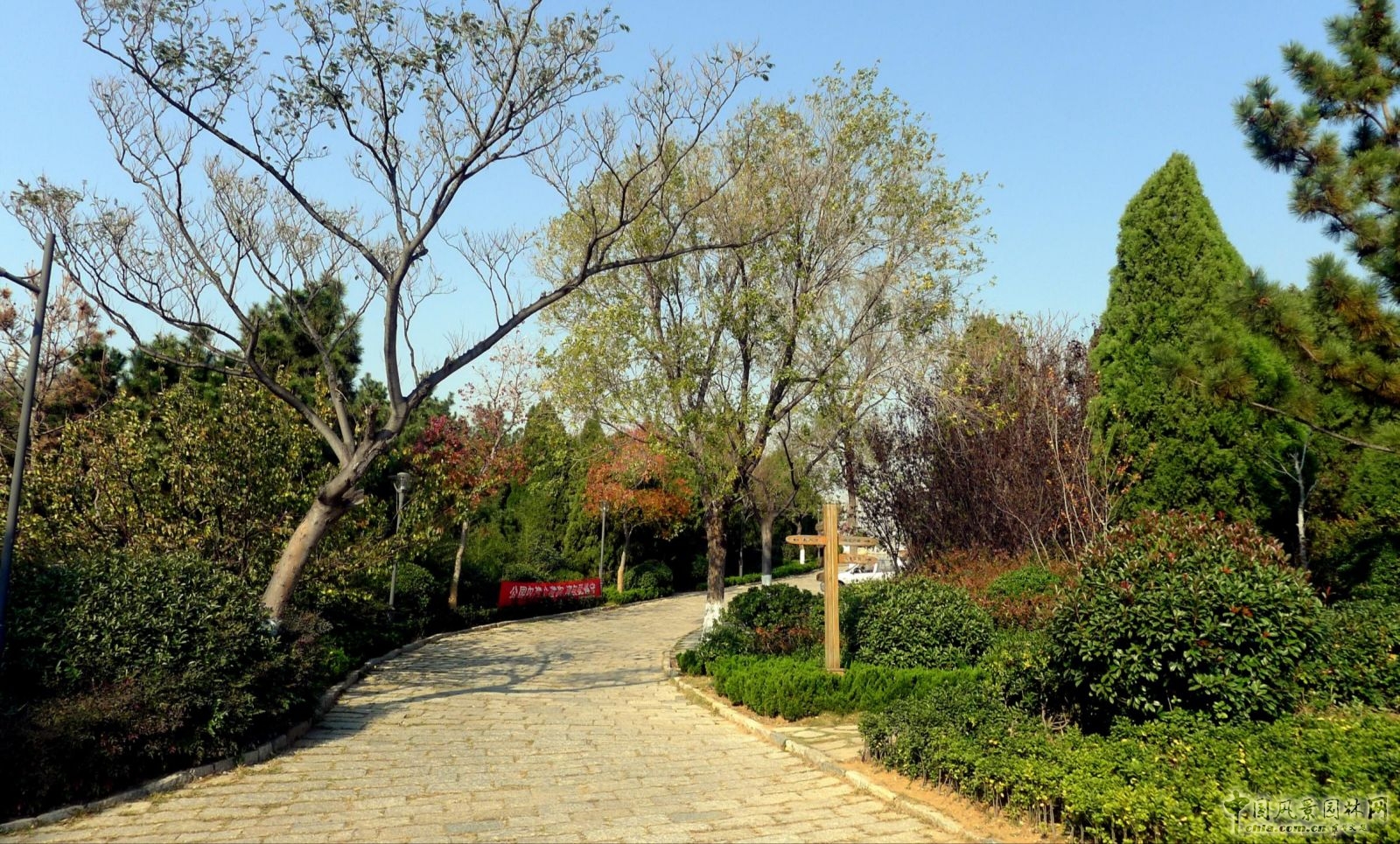 生態(tài)性園路與鋪裝的應用——主園路（嵌草鋪裝)