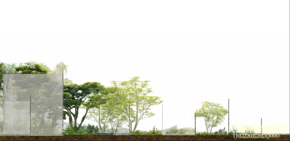 武漢園博會(huì )創(chuàng  )意花園薄紗森林