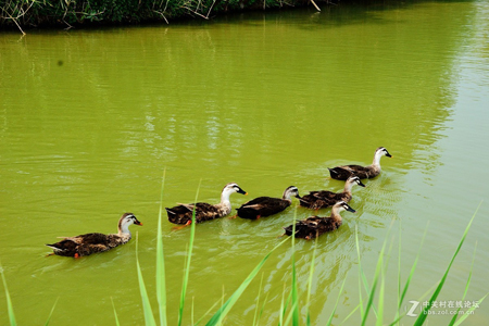 西安：浐灞生態(tài)國家濕地公園
