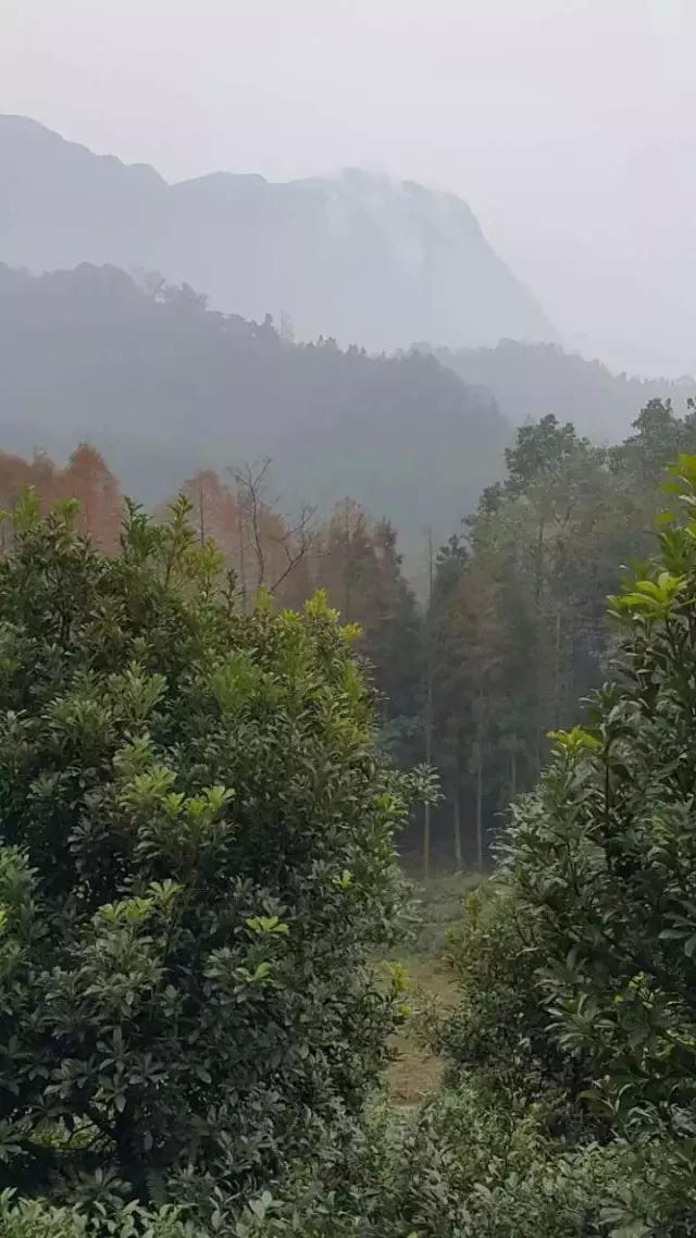 探討：風(fēng)景園林的內涵與外延