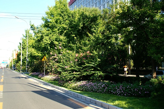 北京市重點(diǎn)城市道路規劃設計