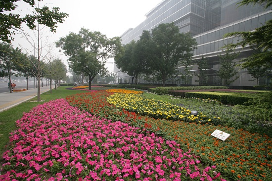 長(cháng)安街建國路景觀(guān)大道規劃建設