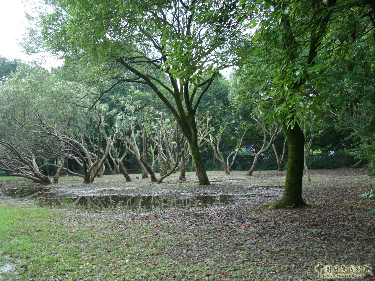 南京林業(yè)大學(xué)風(fēng)景園林學(xué)院社會(huì )實(shí)踐活動(dòng)（二）