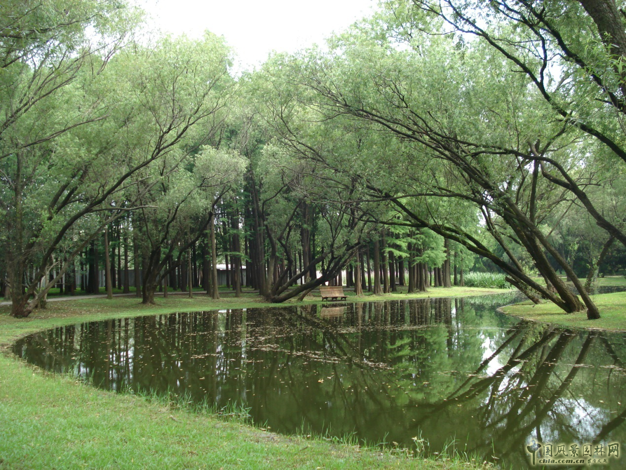 南京林業(yè)大學(xué)風(fēng)景園林學(xué)院社會(huì )實(shí)踐活動(dòng)（二）