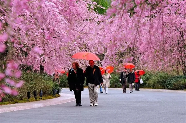 貝聿銘：日本滋賀縣秀美美術(shù)館景觀(guān)