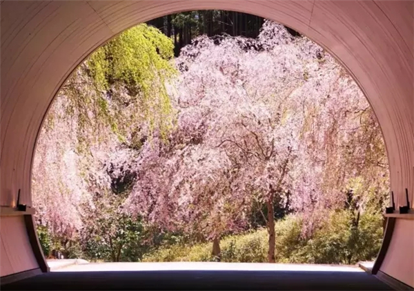 貝聿銘：日本滋賀縣秀美美術(shù)館景觀(guān)