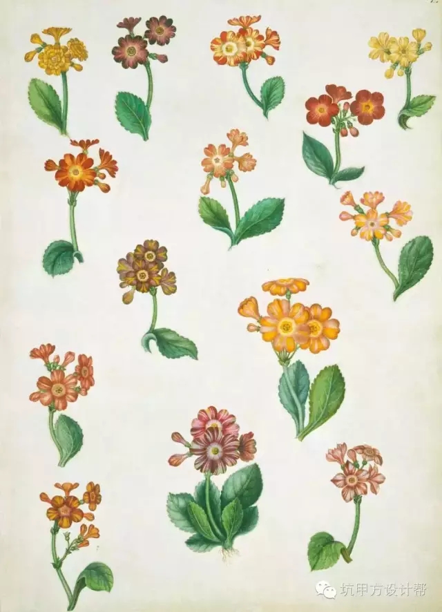 離不開(kāi)花園的英國人