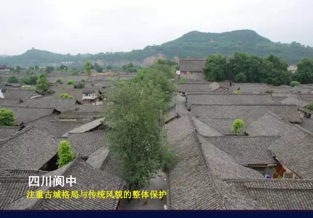 陽(yáng)建強：基于城市發(fā)展整體框架下的歷史城市保護與更新