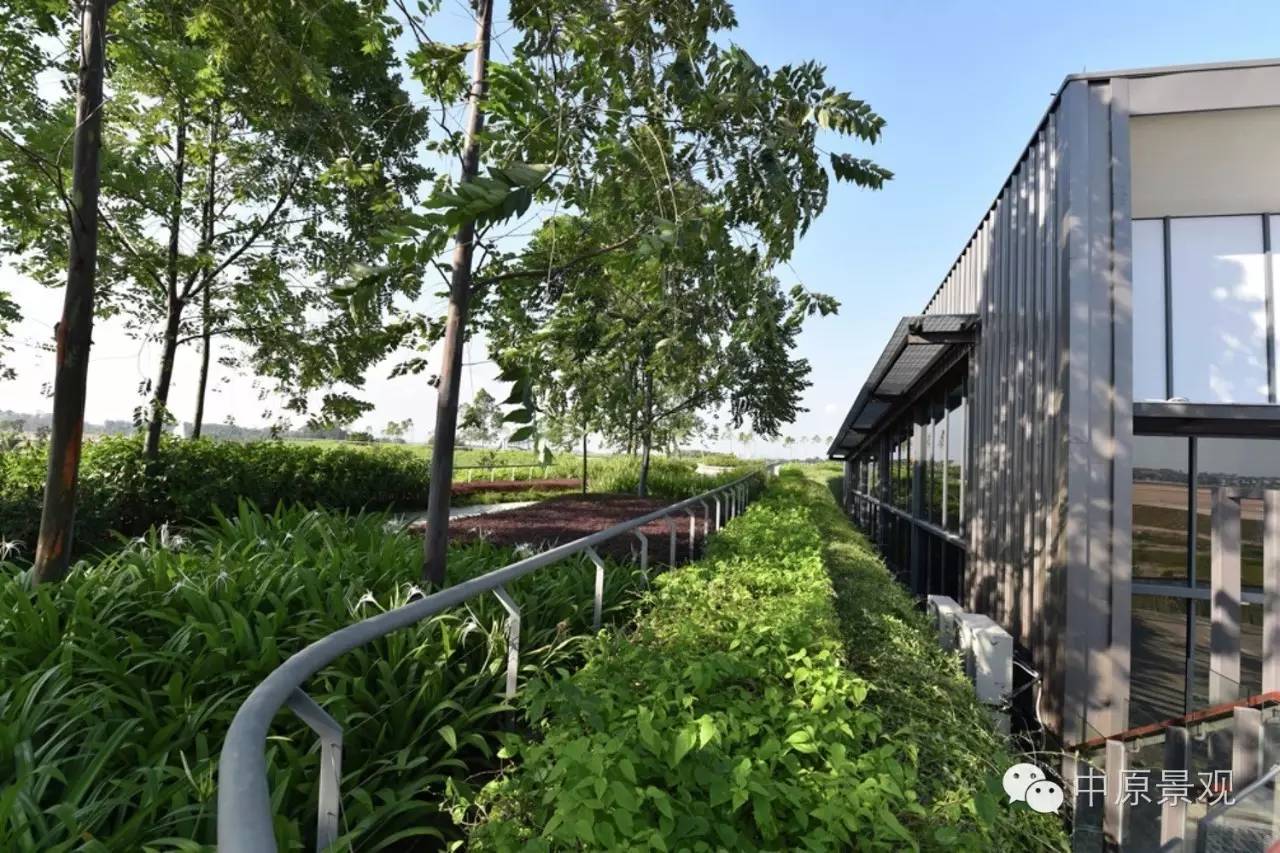 馬來(lái)西亞加里斯建筑師的弧形景觀(guān)設計