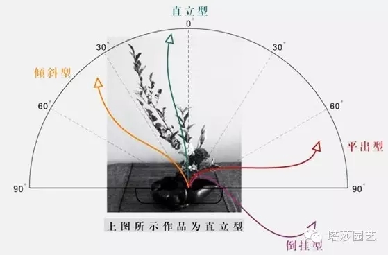 東方式插花藝術(shù)
