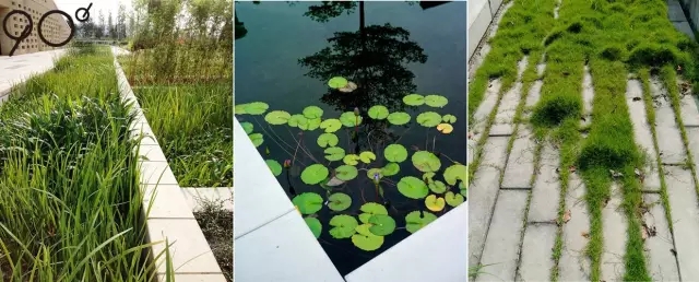 低維護生態(tài)園區：萬(wàn)科研究中心
