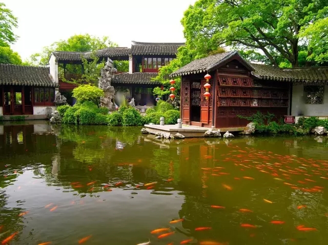 同里古鎮指望這個(gè)園子活著(zhù)——退思園