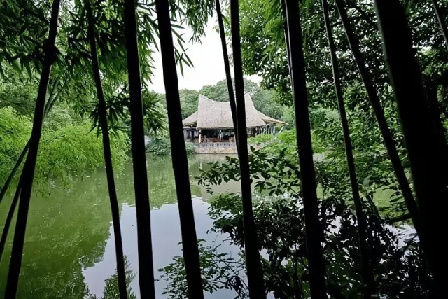 何陋之有？何陋軒與馮紀忠