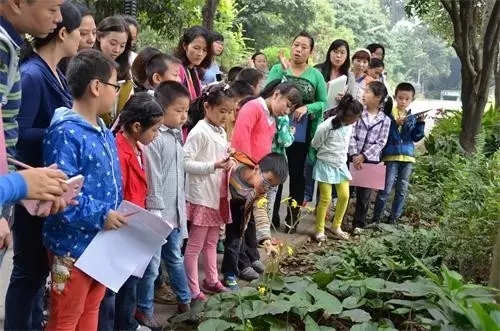 如何讓植物成為兒童活動(dòng)場(chǎng)地的主角？