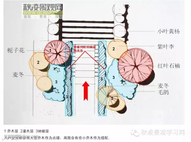 不得不看的植物營(yíng)造實(shí)物圖解析