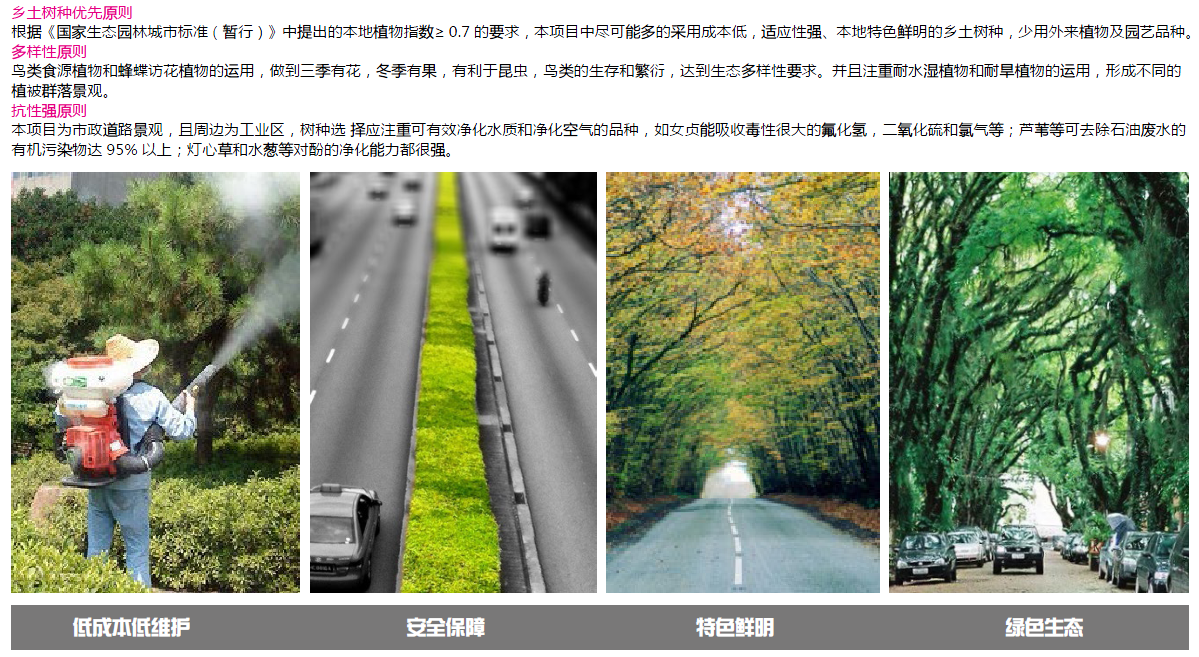 2016園冶杯：昆山市迎賓路改造工程綠化景觀(guān)工程設計
