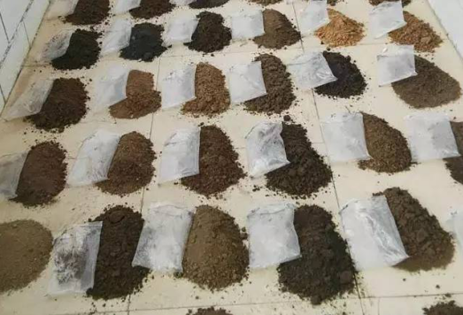 大數據時(shí)代 蒙草靠自身力量實(shí)現精準修復生態(tài)