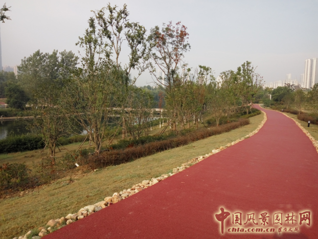 2016園冶杯:塘西河公園景觀(guān)（廣西路以西）綠化提升工程